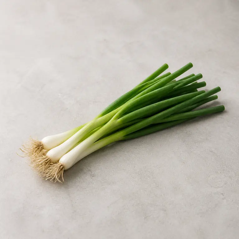Oignons verts sur une surface neutre